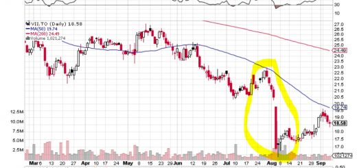 Seven Generations Stock Chart